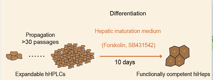 亚游集团·ag8(中国)官网-只為非同凡享