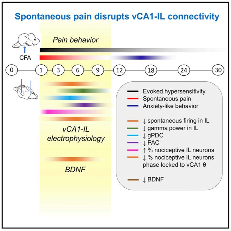 亚游集团·ag8(中国)官网-只為非同凡享