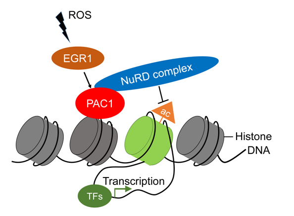 亚游集团·ag8(中国)官网-只為非同凡享