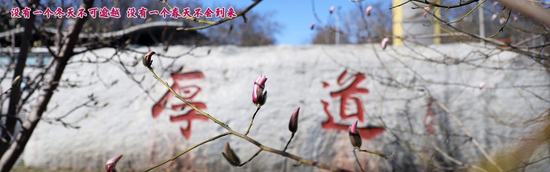 亚游集团·ag8(中国)官网-只為非同凡享