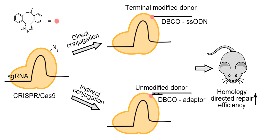 亚游集团·ag8(中国)官网-只為非同凡享
