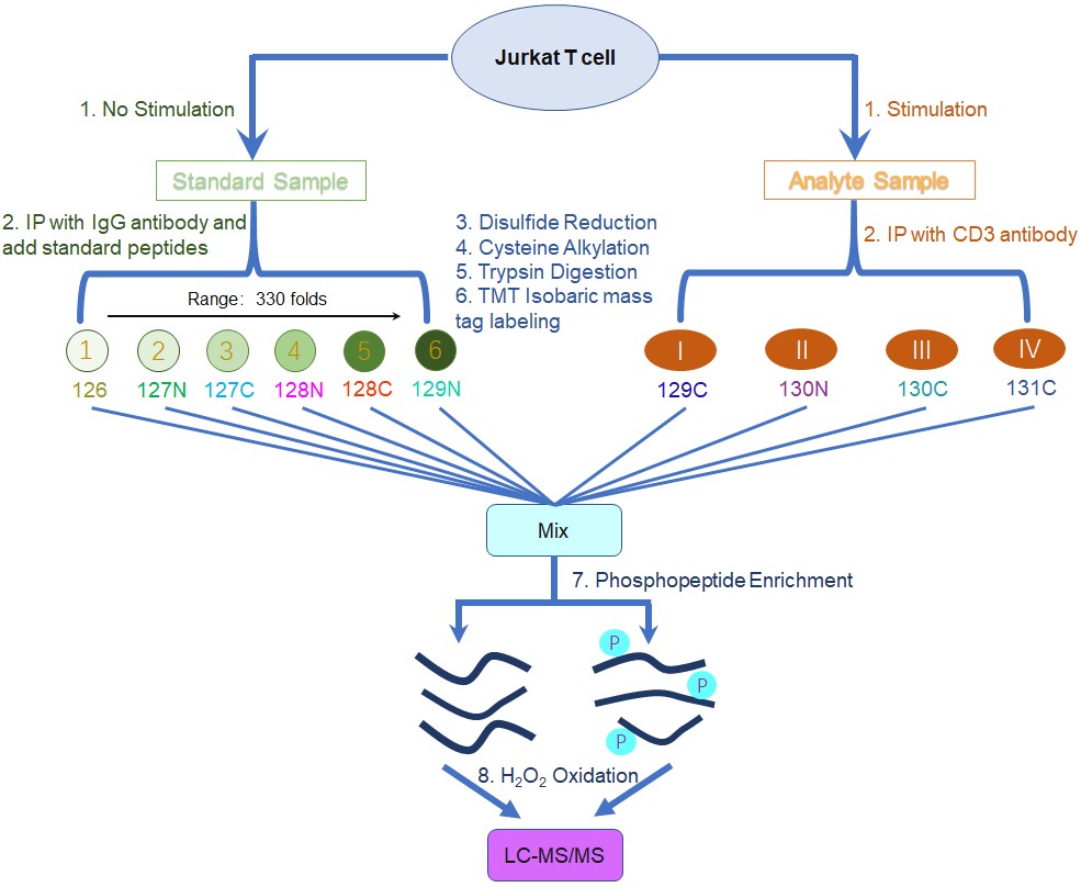亚游集团·ag8(中国)官网-只為非同凡享