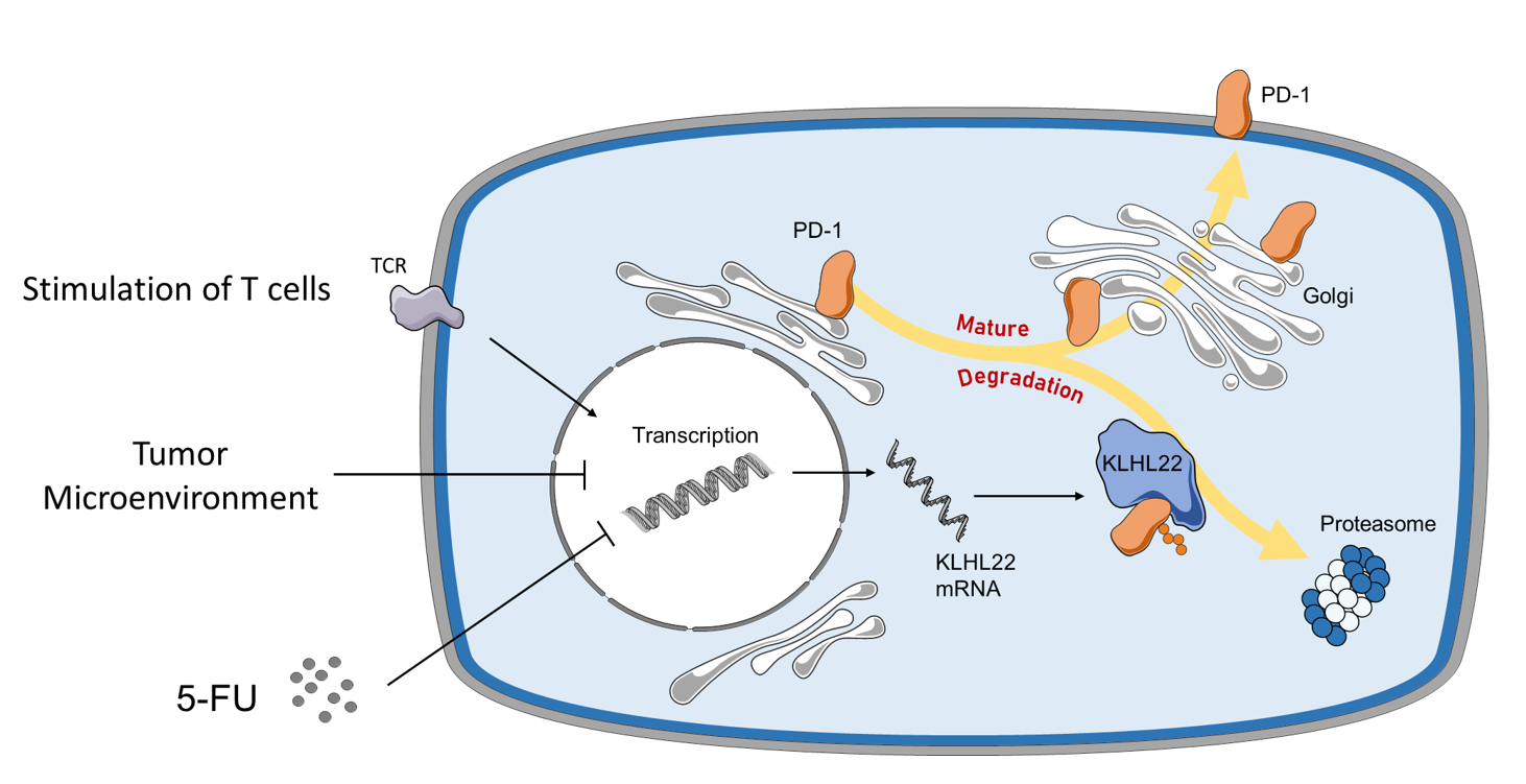亚游集团·ag8(中国)官网-只為非同凡享