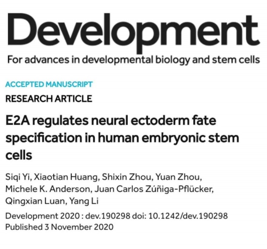 亚游集团·ag8(中国)官网-只為非同凡享