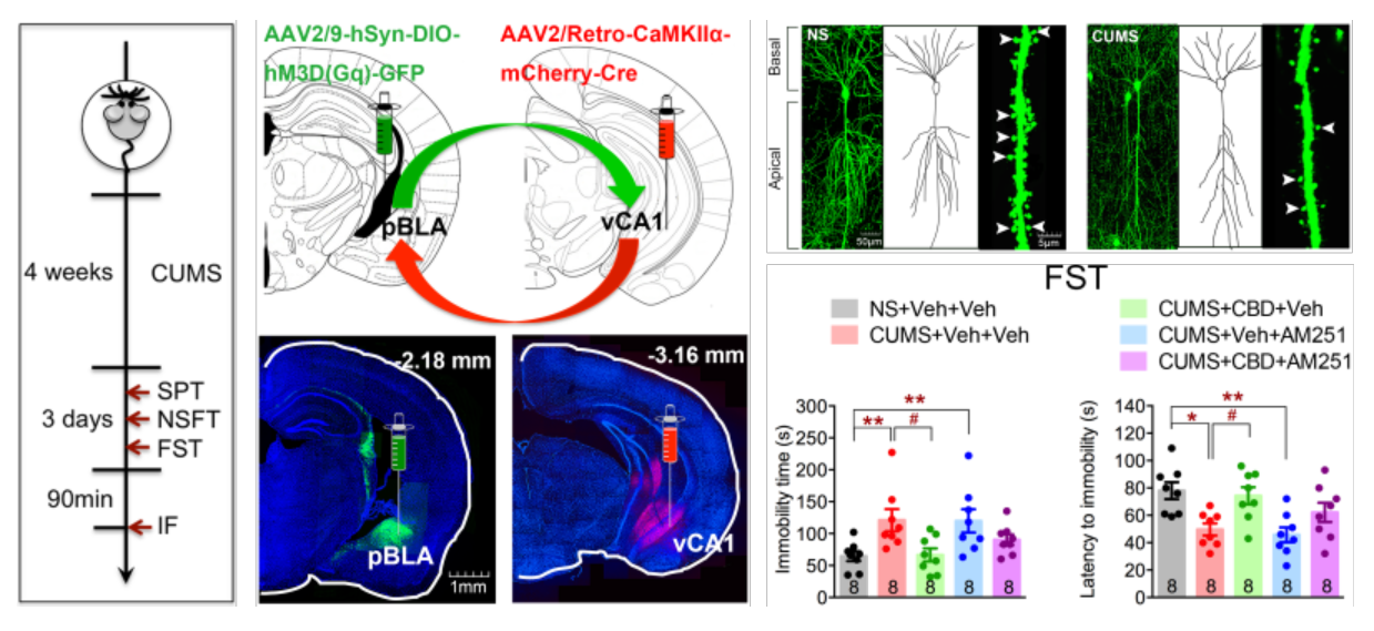 亚游集团·ag8(中国)官网-只為非同凡享