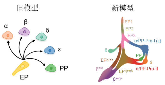 亚游集团·ag8(中国)官网-只為非同凡享