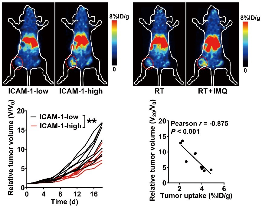 亚游集团·ag8(中国)官网-只為非同凡享
