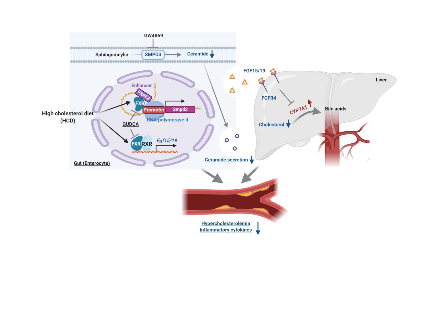 亚游集团·ag8(中国)官网-只為非同凡享