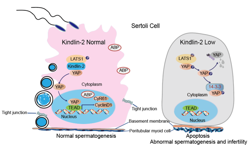 亚游集团·ag8(中国)官网-只為非同凡享