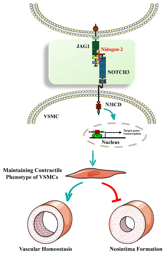 亚游集团·ag8(中国)官网-只為非同凡享