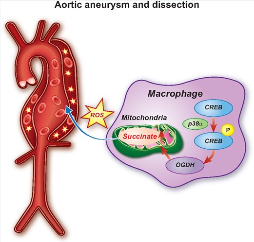 亚游集团·ag8(中国)官网-只為非同凡享