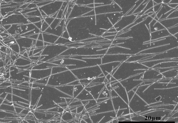 亚游集团·ag8(中国)官网-只為非同凡享