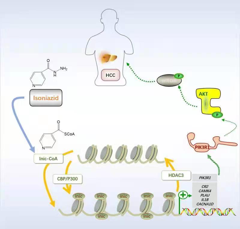 亚游集团·ag8(中国)官网-只為非同凡享