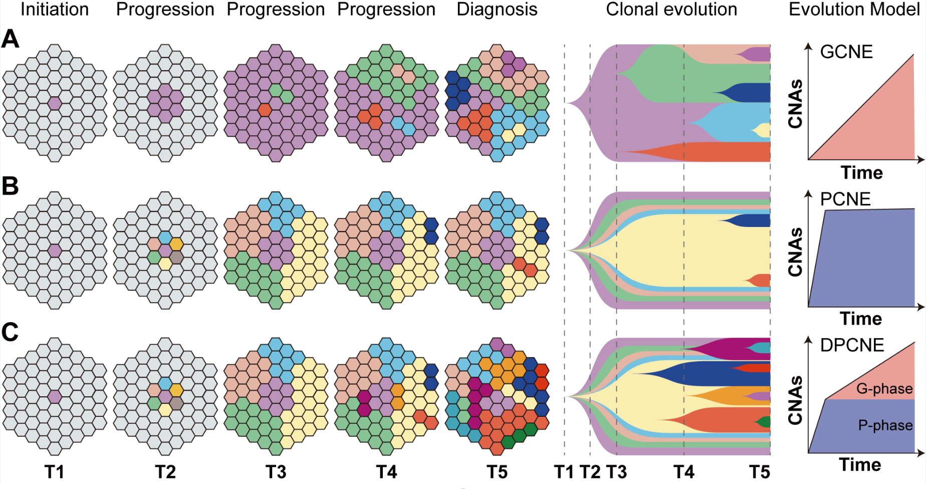 亚游集团·ag8(中国)官网-只為非同凡享