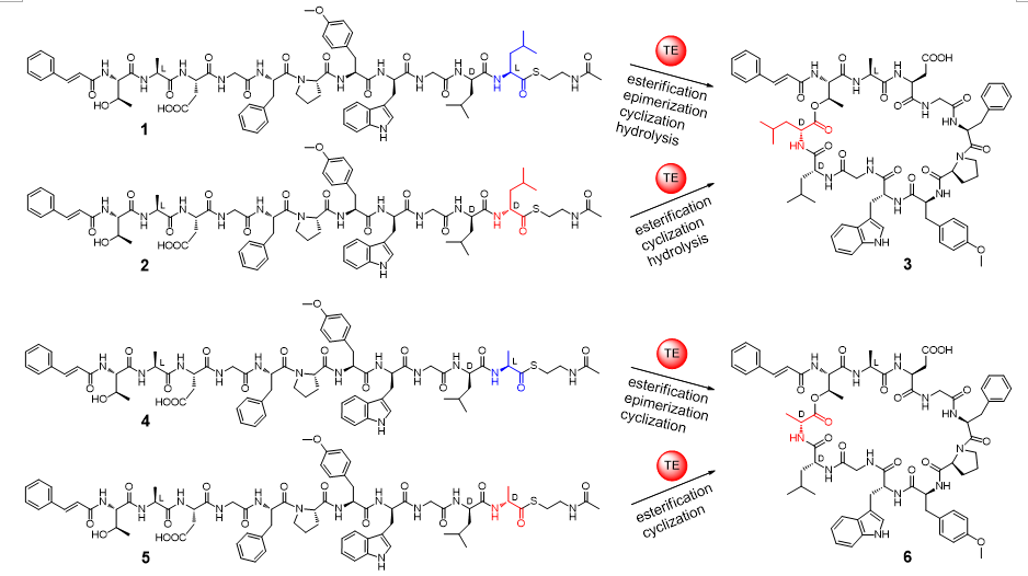 亚游集团·ag8(中国)官网-只為非同凡享
