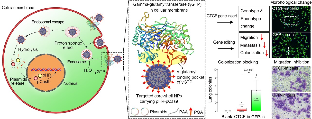 亚游集团·ag8(中国)官网-只為非同凡享