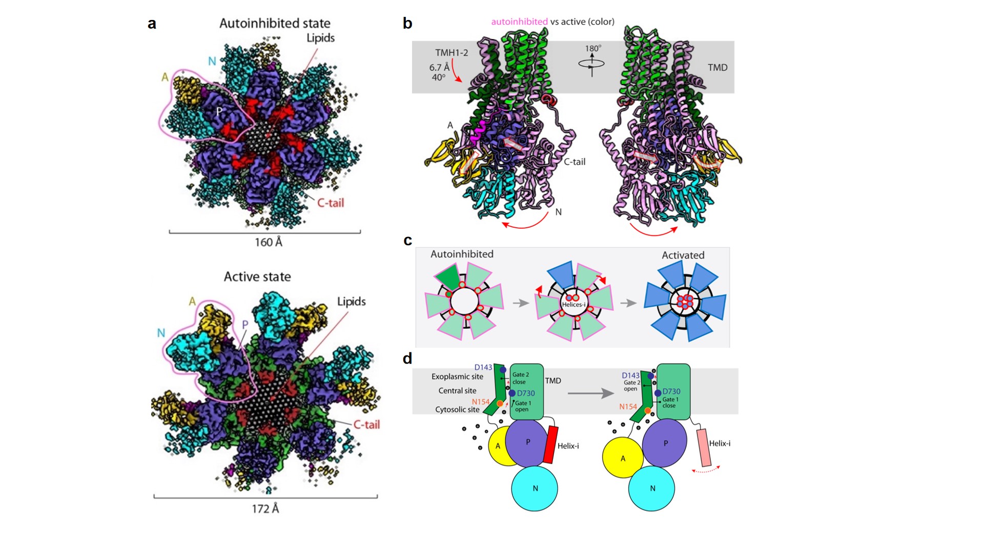 亚游集团·ag8(中国)官网-只為非同凡享