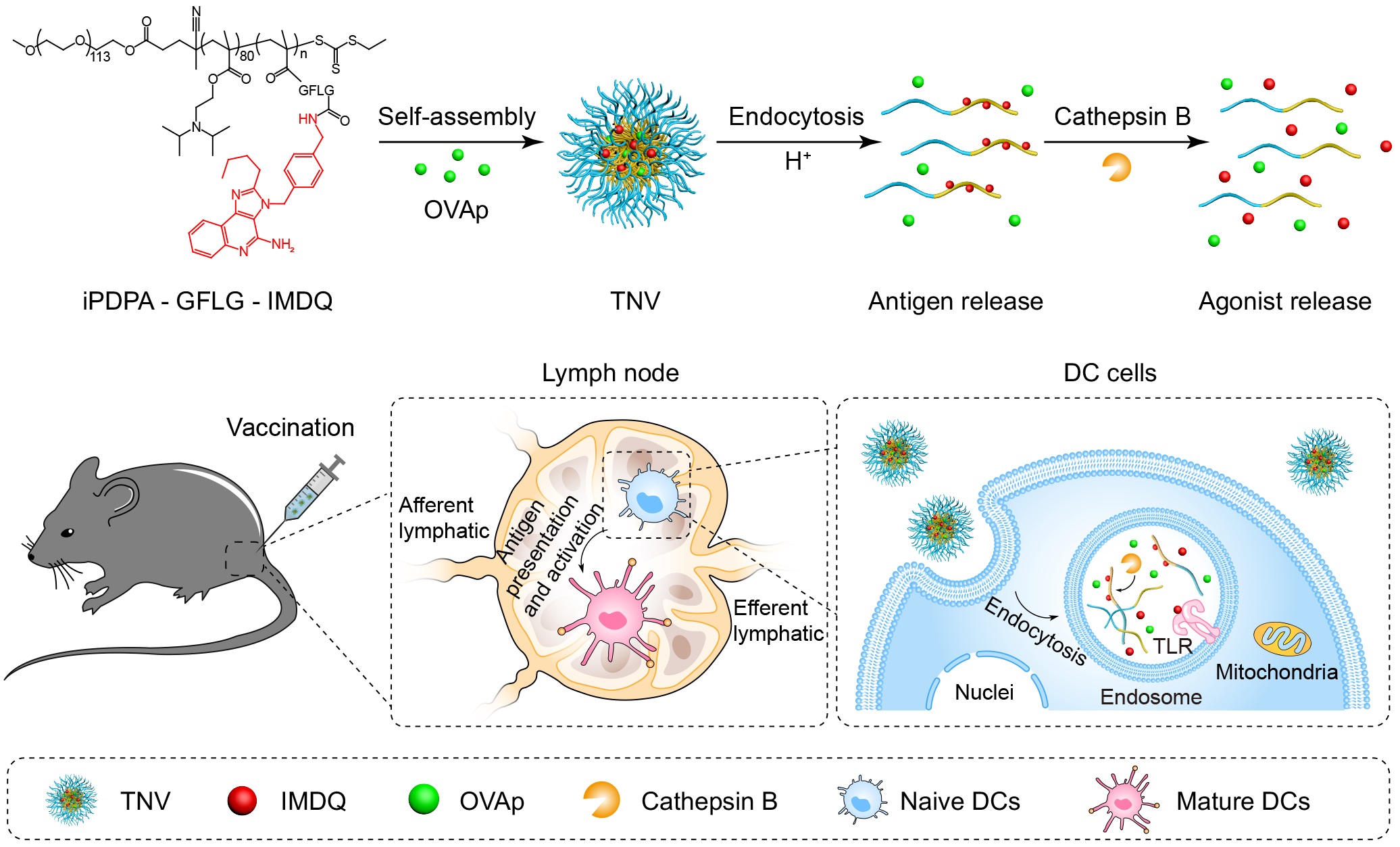 亚游集团·ag8(中国)官网-只為非同凡享