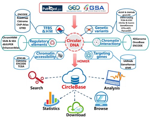 亚游集团·ag8(中国)官网-只為非同凡享