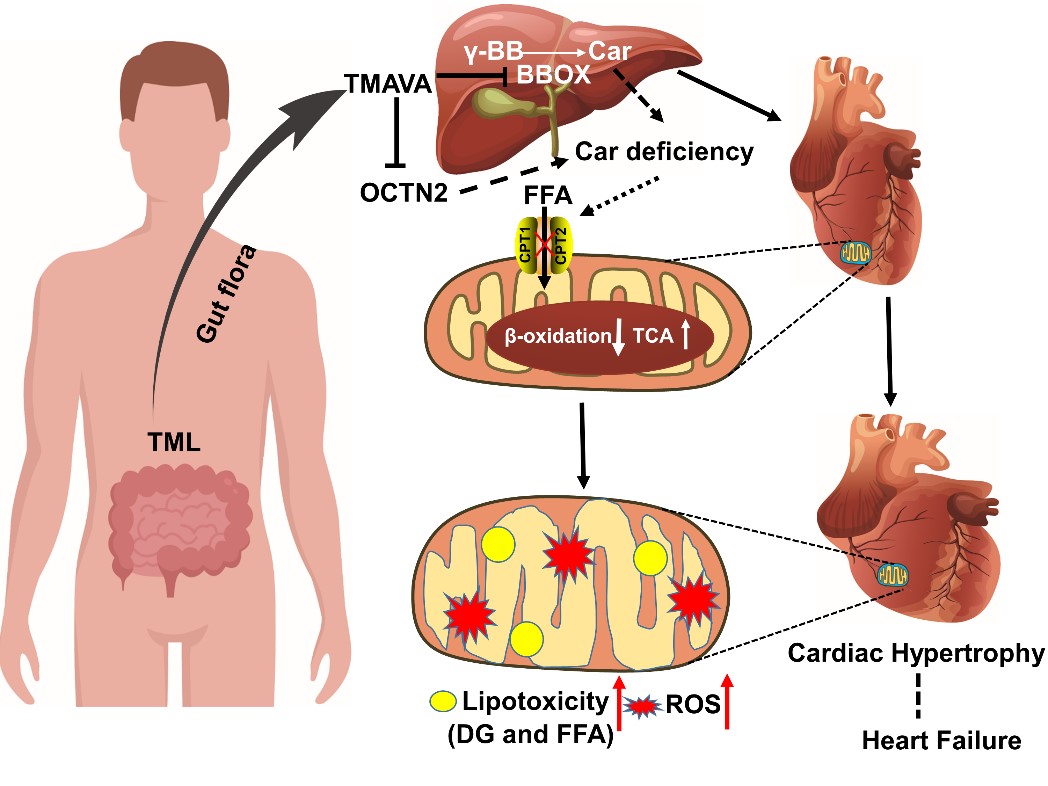 亚游集团·ag8(中国)官网-只為非同凡享