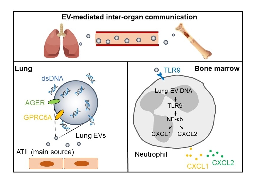 亚游集团·ag8(中国)官网-只為非同凡享