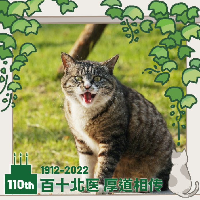 亚游集团·ag8(中国)官网-只為非同凡享