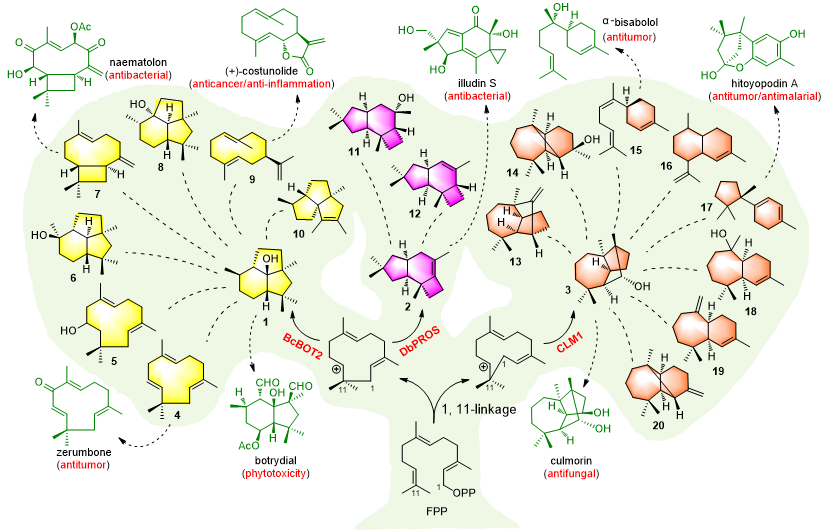 亚游集团·ag8(中国)官网-只為非同凡享