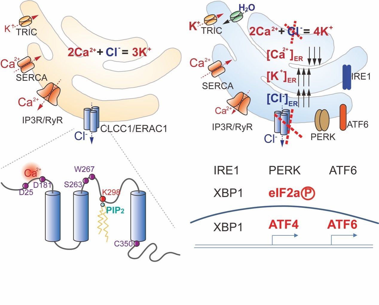 亚游集团·ag8(中国)官网-只為非同凡享