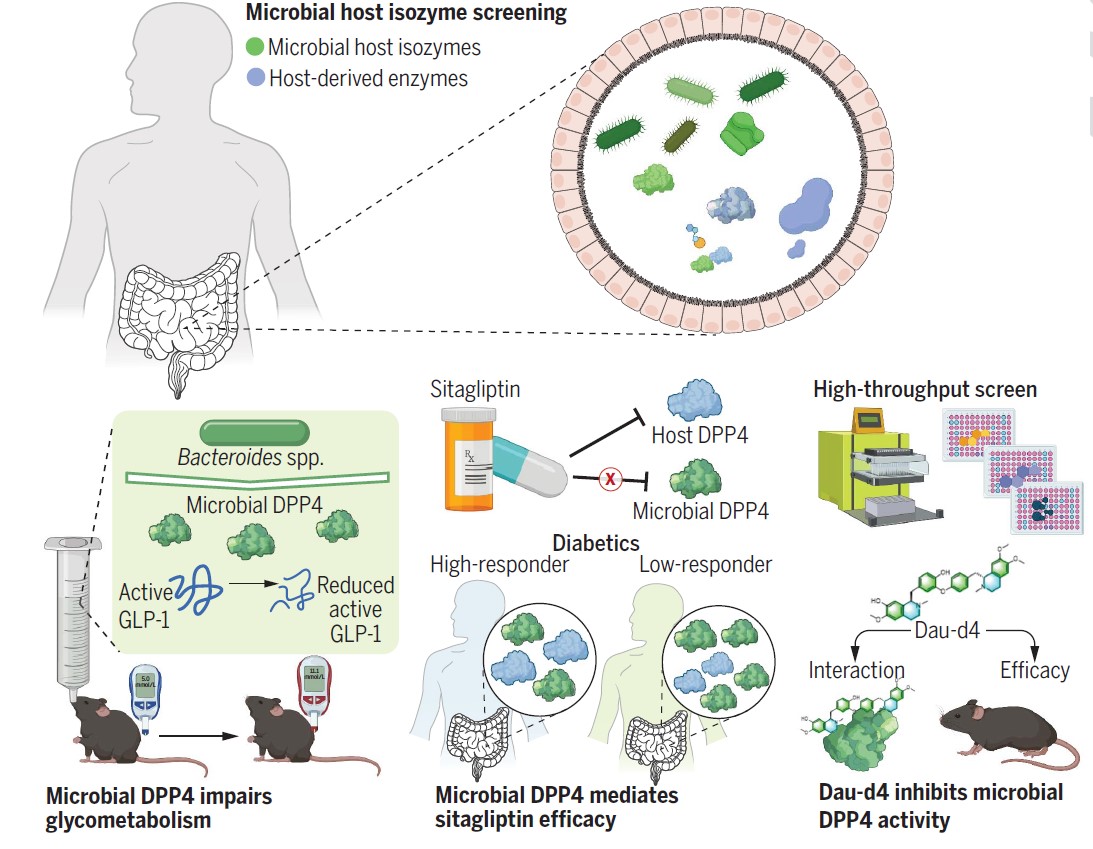 亚游集团·ag8(中国)官网-只為非同凡享