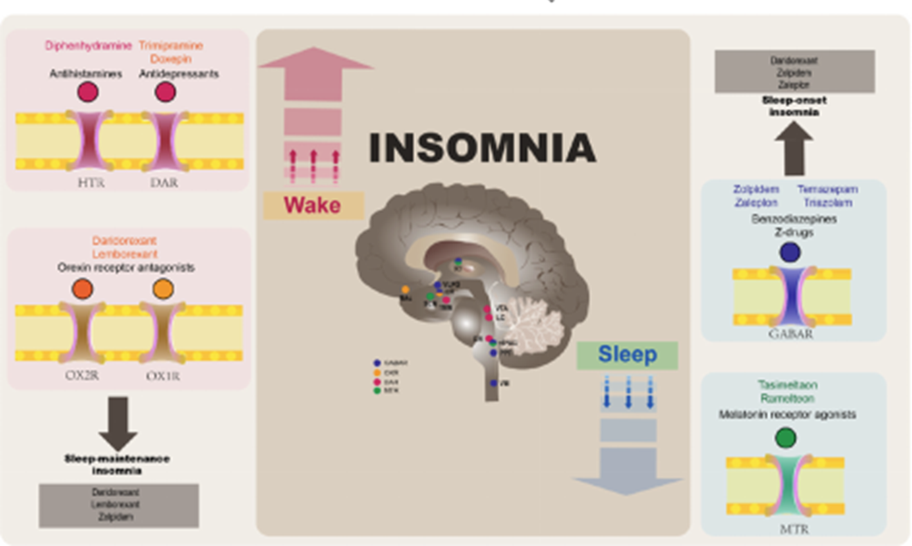 亚游集团·ag8(中国)官网-只為非同凡享