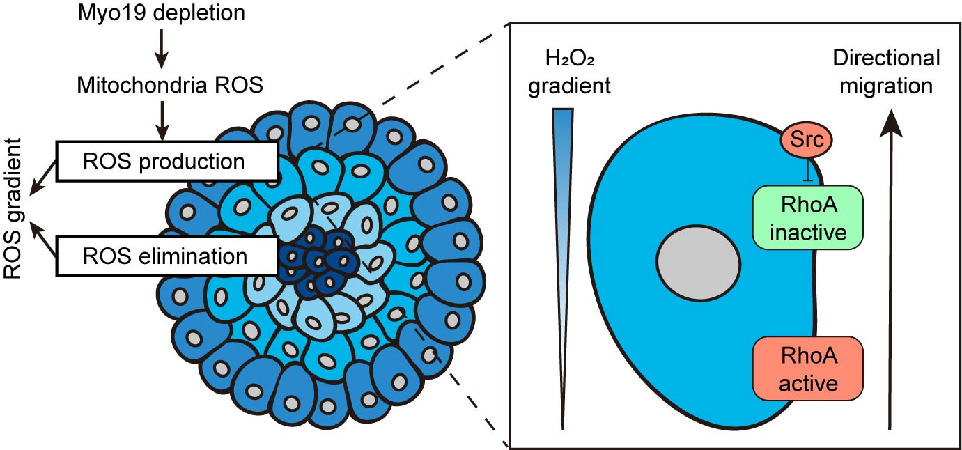 亚游集团·ag8(中国)官网-只為非同凡享