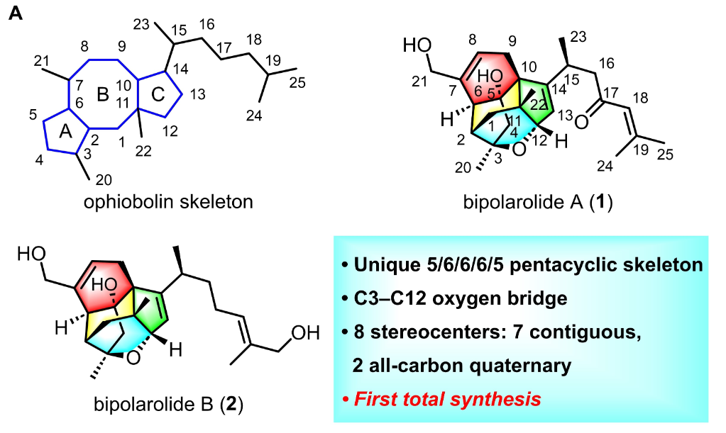 亚游集团·ag8(中国)官网-只為非同凡享