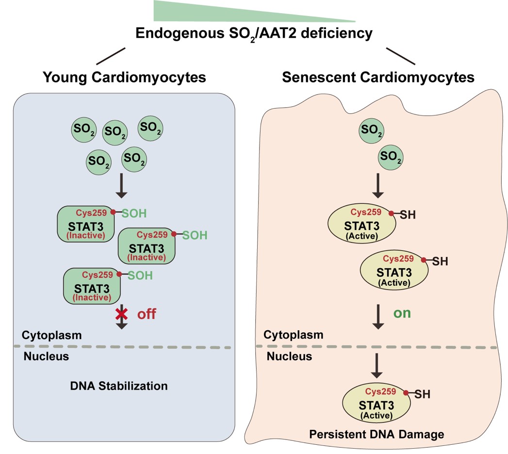 亚游集团·ag8(中国)官网-只為非同凡享