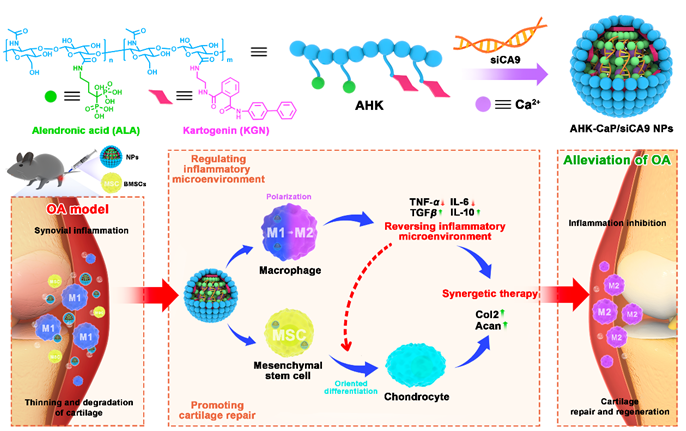 亚游集团·ag8(中国)官网-只為非同凡享