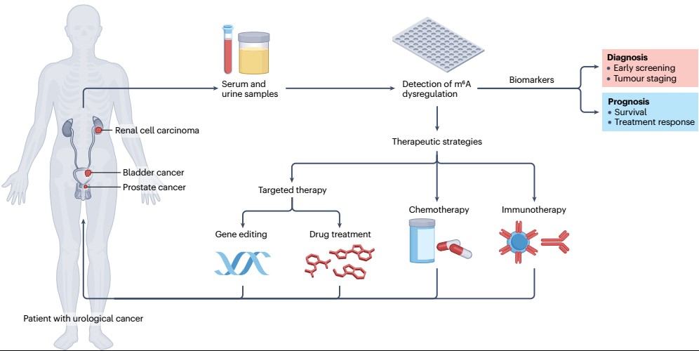 亚游集团·ag8(中国)官网-只為非同凡享