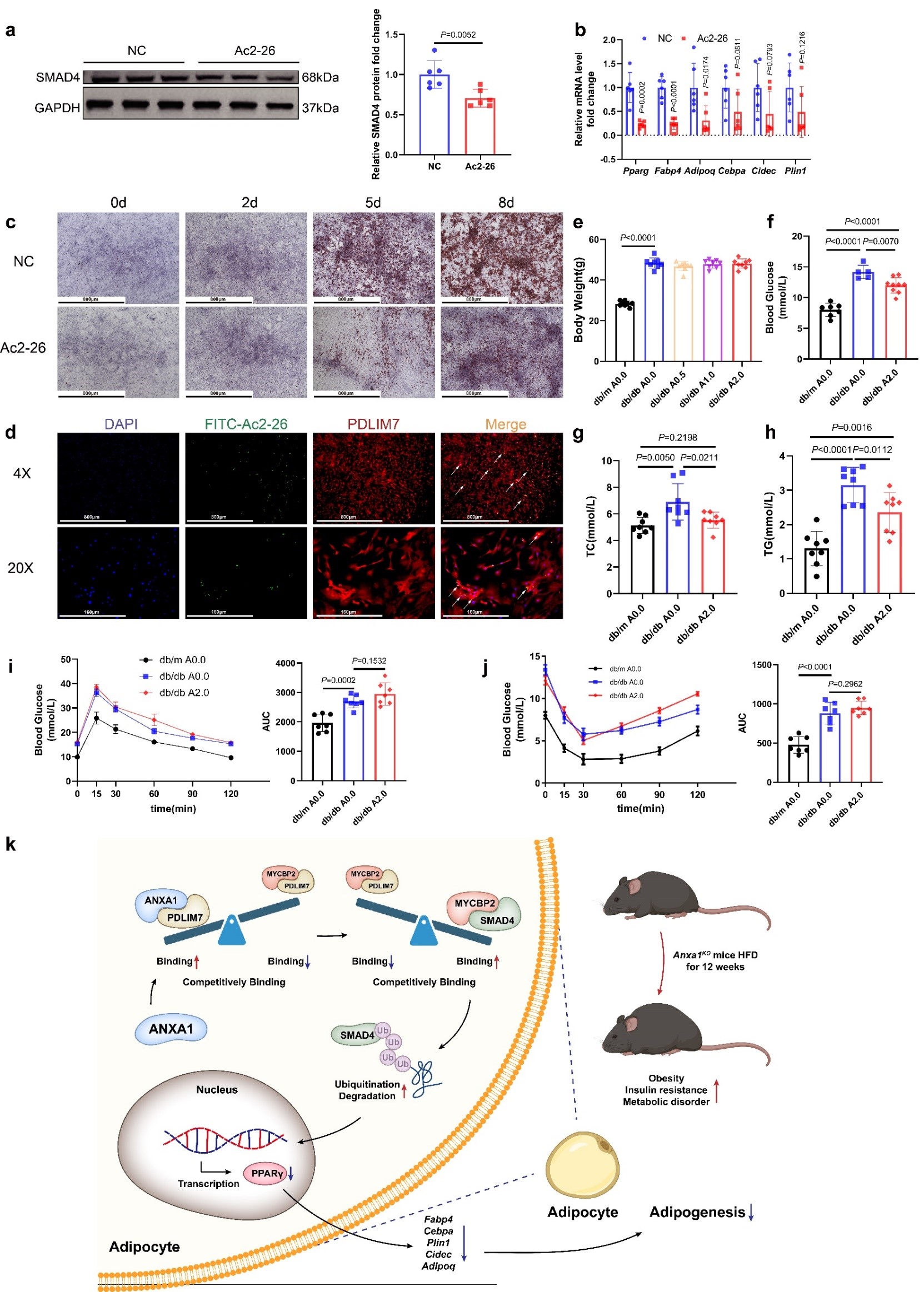 亚游集团·ag8(中国)官网-只為非同凡享