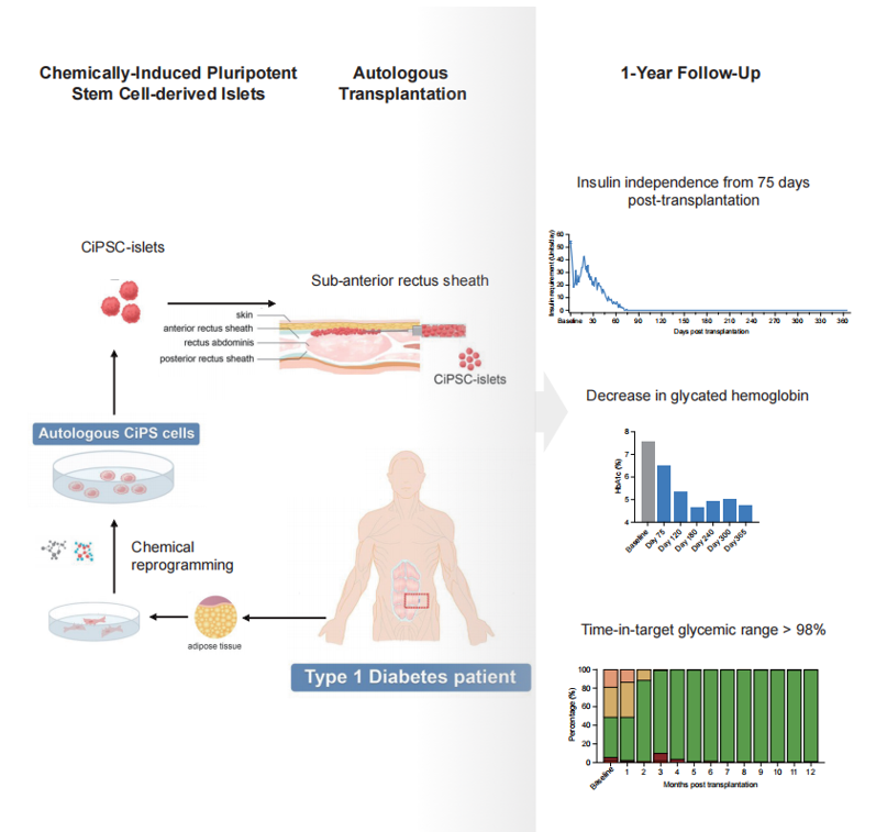 亚游集团·ag8(中国)官网-只為非同凡享