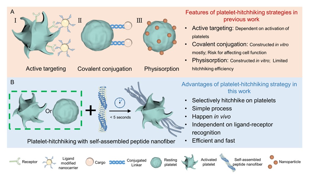 亚游集团·ag8(中国)官网-只為非同凡享