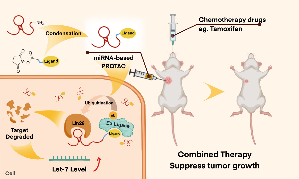 亚游集团·ag8(中国)官网-只為非同凡享