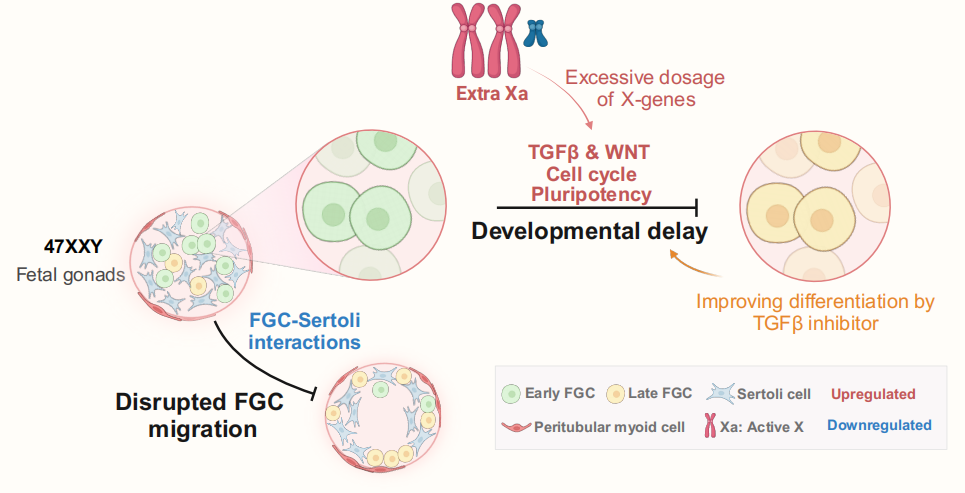 亚游集团·ag8(中国)官网-只為非同凡享
