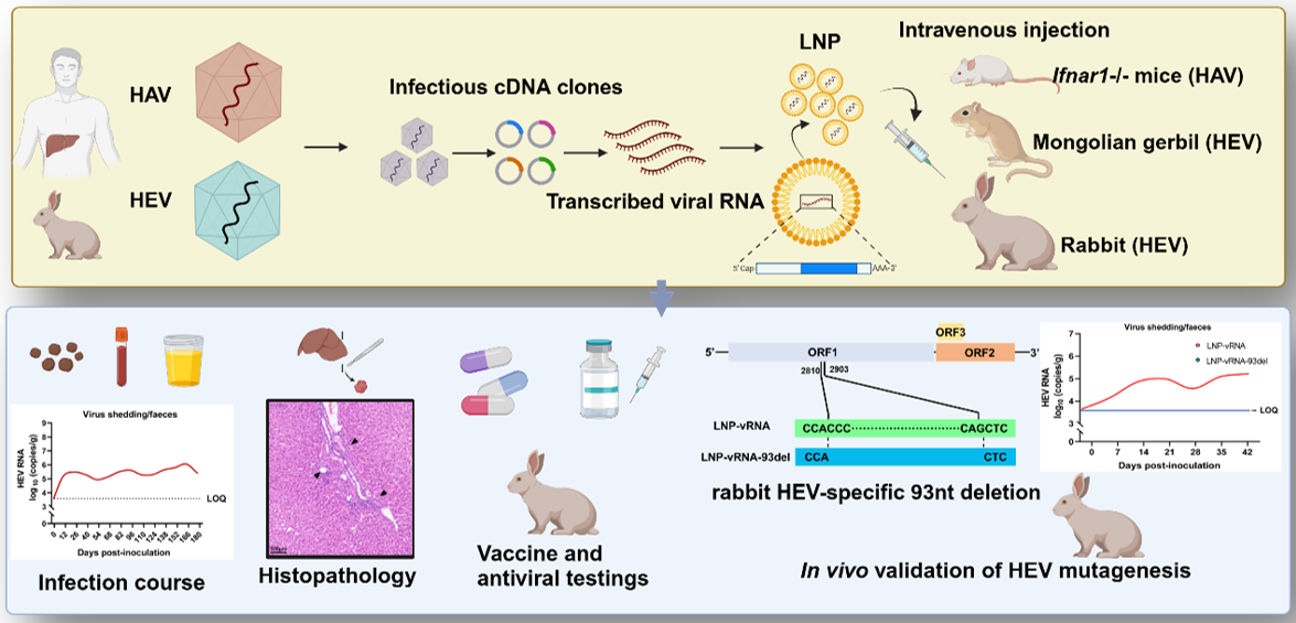 亚游集团·ag8(中国)官网-只為非同凡享