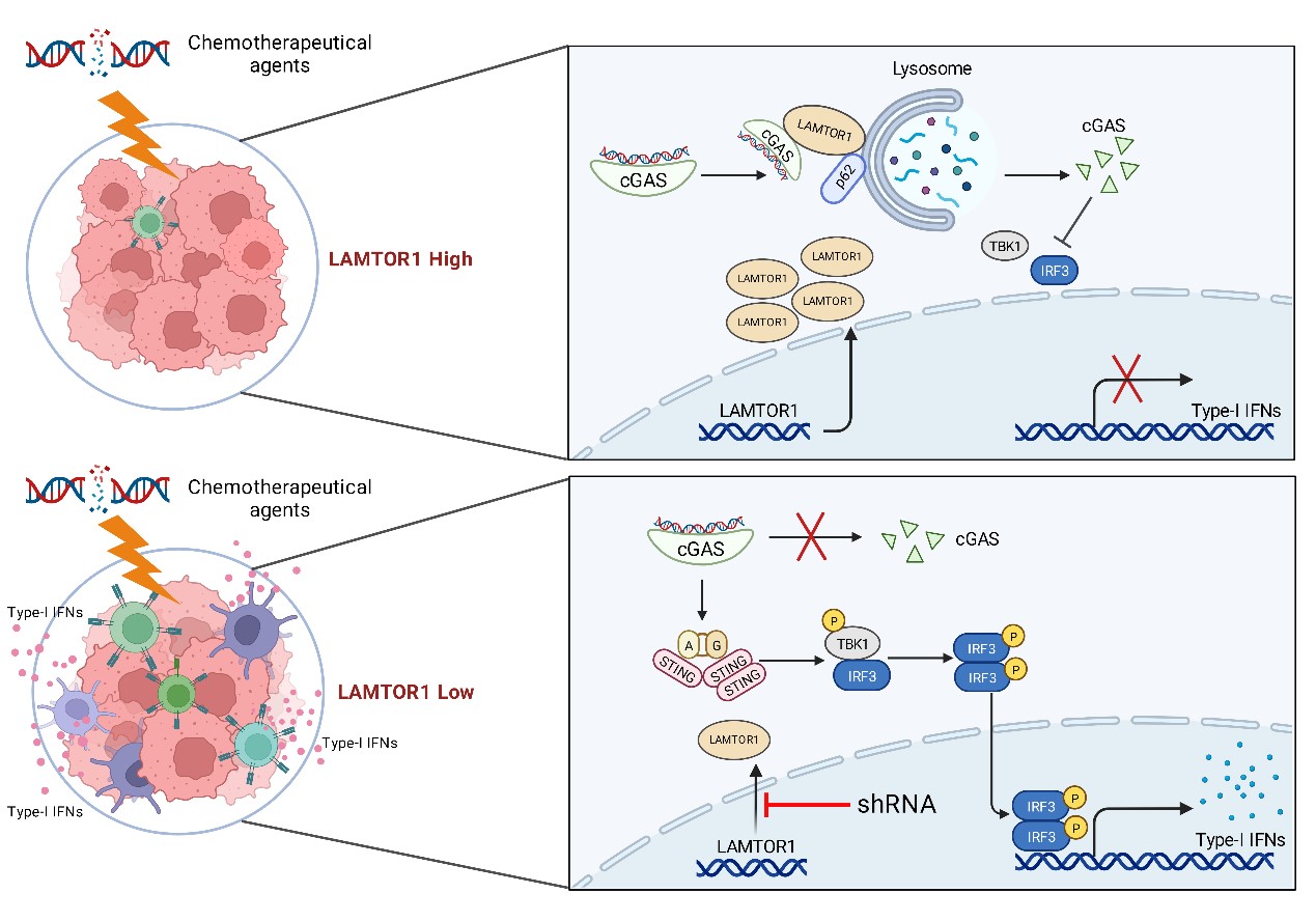 亚游集团·ag8(中国)官网-只為非同凡享