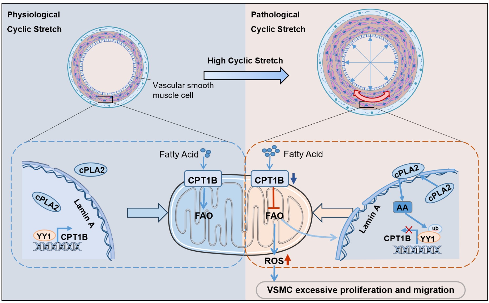 亚游集团·ag8(中国)官网-只為非同凡享