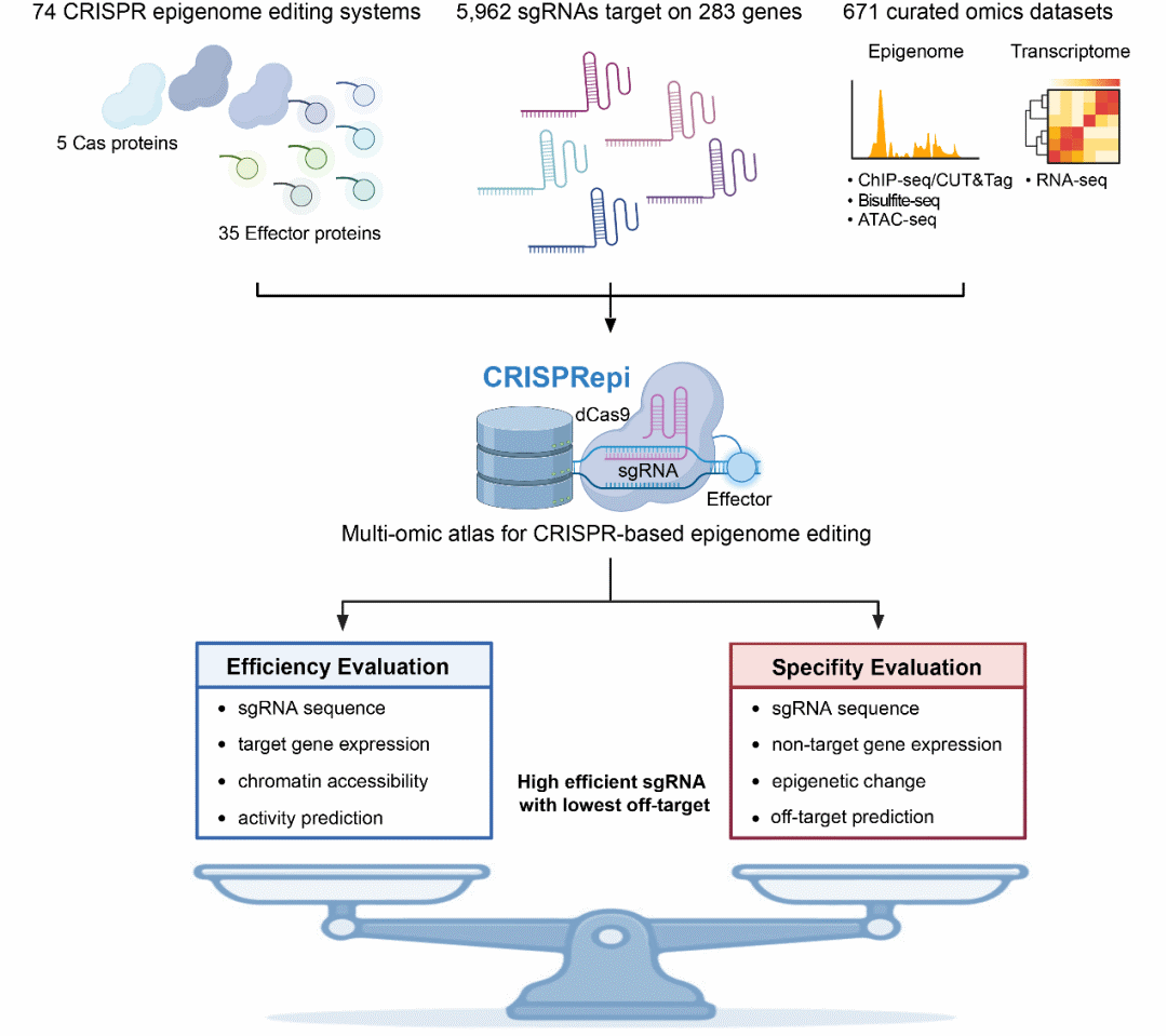 亚游集团·ag8(中国)官网-只為非同凡享