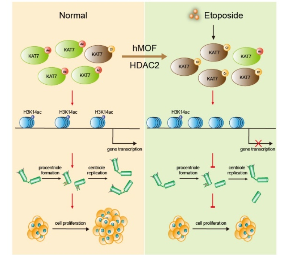 亚游集团·ag8(中国)官网-只為非同凡享