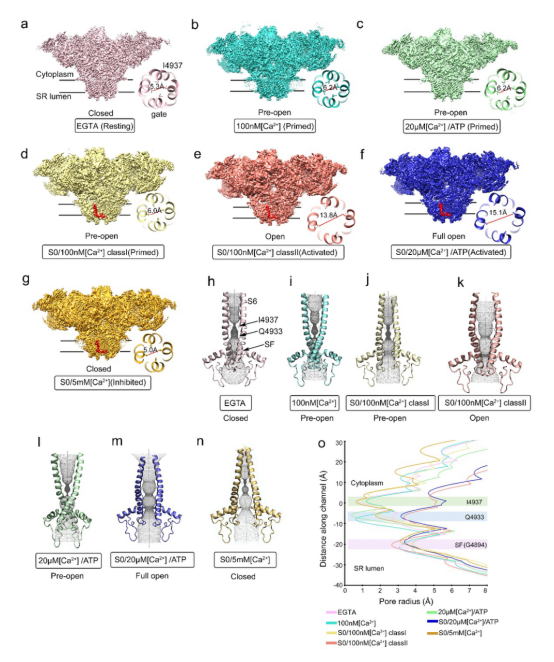 亚游集团·ag8(中国)官网-只為非同凡享