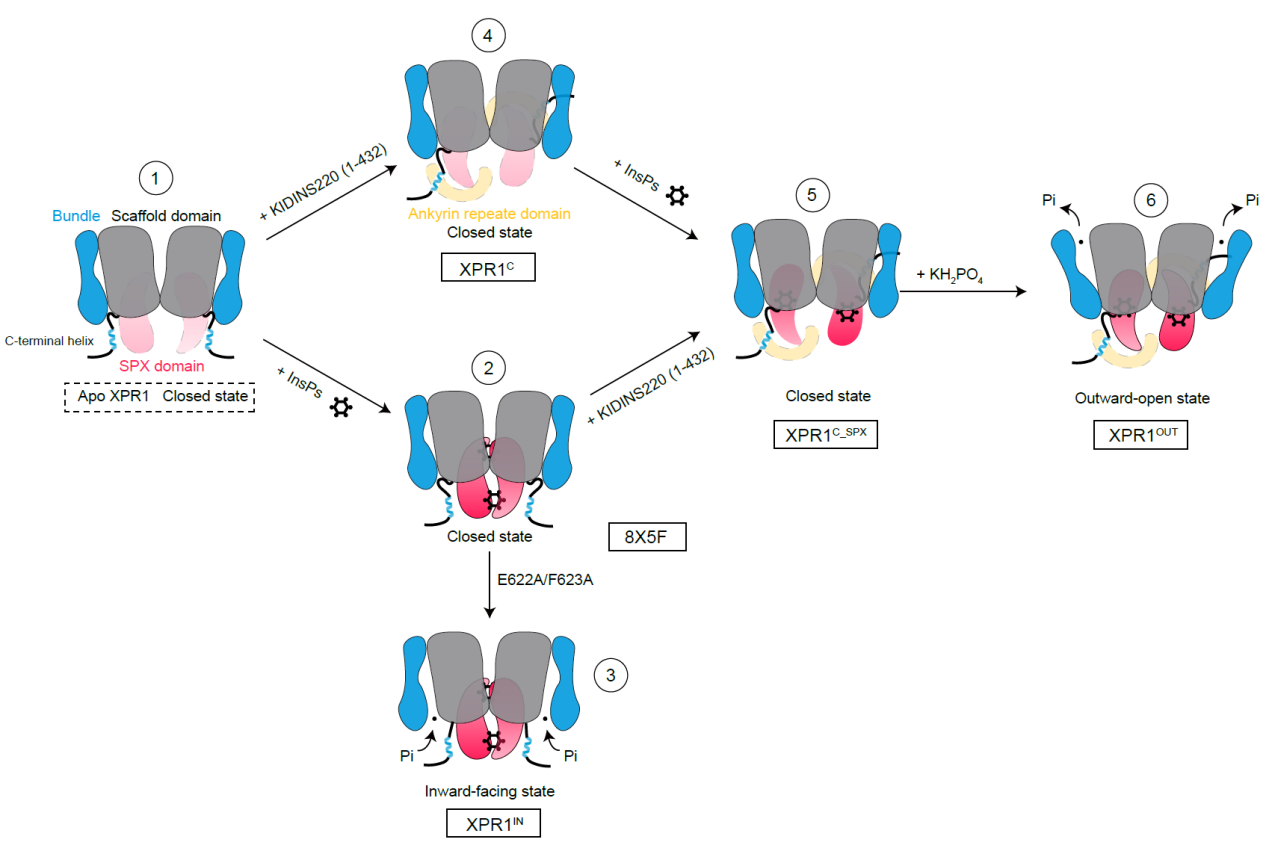 亚游集团·ag8(中国)官网-只為非同凡享