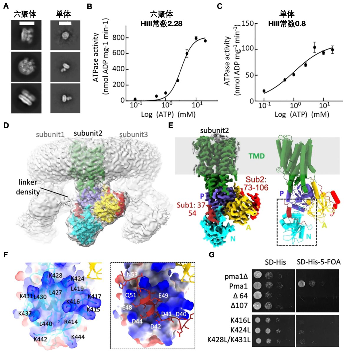 亚游集团·ag8(中国)官网-只為非同凡享