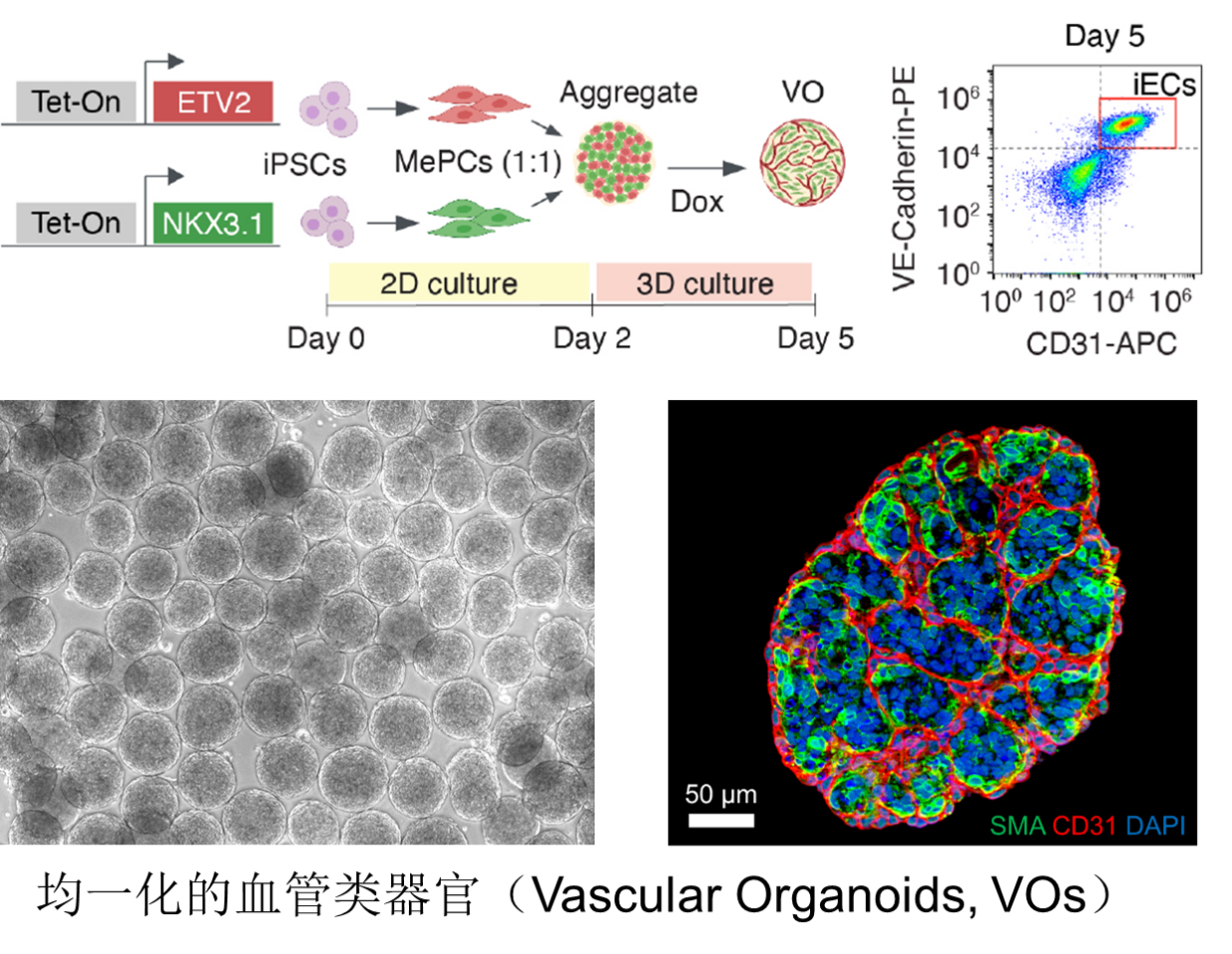 亚游集团·ag8(中国)官网-只為非同凡享