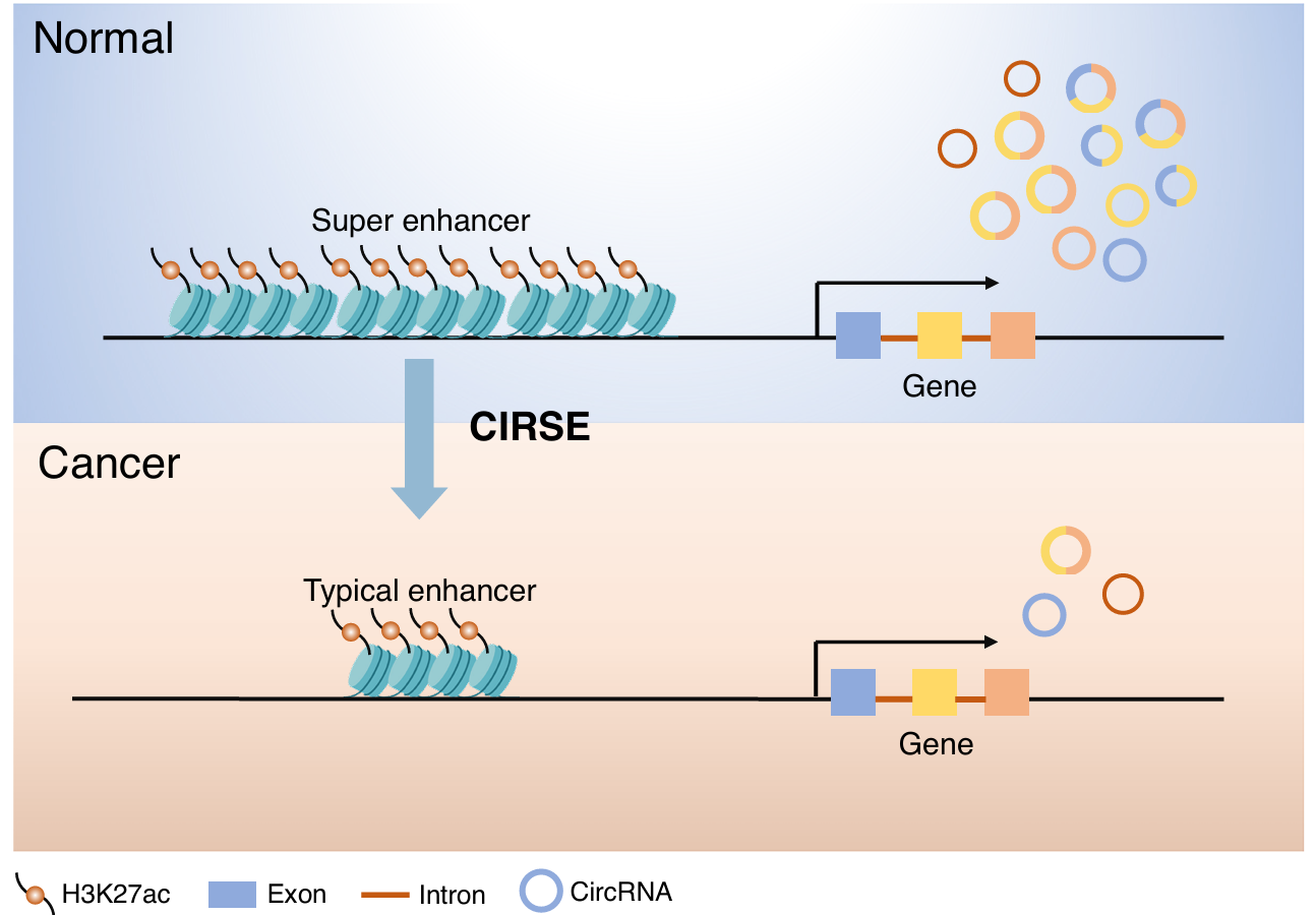 亚游集团·ag8(中国)官网-只為非同凡享